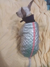 Coat Puppy Clothing Jacket Puppy-French-Bulldog Dogs Waterproof Chihuahua Winter Vest