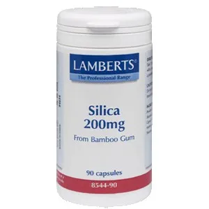 

SILICON 200 MG 90 CHAP LAMBERTS