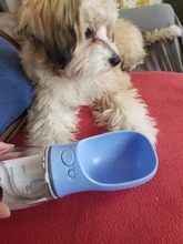 Water-Bottle Pet-Dog Dogs Small Outdoor Large for Medium Dog-Leakage-Proof