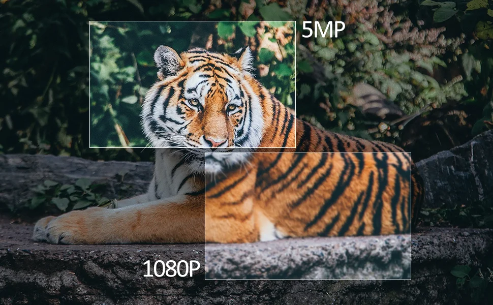 5MP 1080P