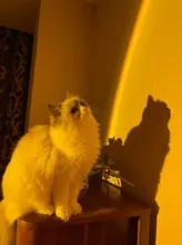 Lámpara Led de proyección de atardecer con USB, luz nocturna para decoración de pared del dormitorio, colorida, proyector de luz, Cambio Gratis de color