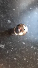 Female Thread Spray-Ball Wash-Fitting Cleaning-Head Rotary Cip-Tank Stainless Coverage