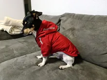 Jacket Clothing Puppy-Coat Dog-Face Dogs Reflective Waterproof Winter Apparel Small Medium
