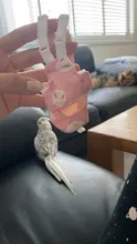 Pájaro loro pañal Cockatiel palomas mascota mediana grande aves traje de vuelo ropa mascotas pájaros heces bolsillo
