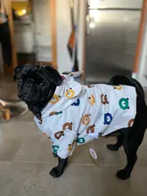 Clothing Bulldog-Clothes Corgi Raincoat Poodle Pug Bichon French Waterproof for Schnauzer