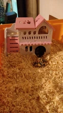 Sleeping-House Hamster Nest Animal-Supplies Small Luxury Home Cage Pet Wooden Hideout