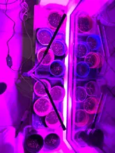 LED Grow Light USB Phyto Lamp Full Spectrum Grow Tent Complete Kit Phytolamp for Plants