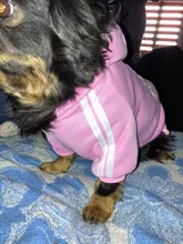 Traje para mascotas pequeñas y medianas, mono para cachorros, ideal para bulldog francés, chihuahua o pug