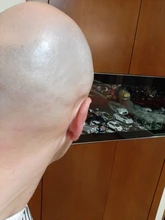 Caja de batería recargable LCD cabello hombres peluquero maquinilla para cortar el pelo Máquina para cortar cabello de Trimmer tijeras Cortadoras de barba