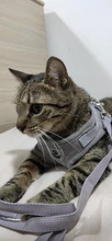 Arnés y correa reflectantes para gato, ropa transpirable a prueba de Escape para mascotas, chaleco ajustable de fácil Control