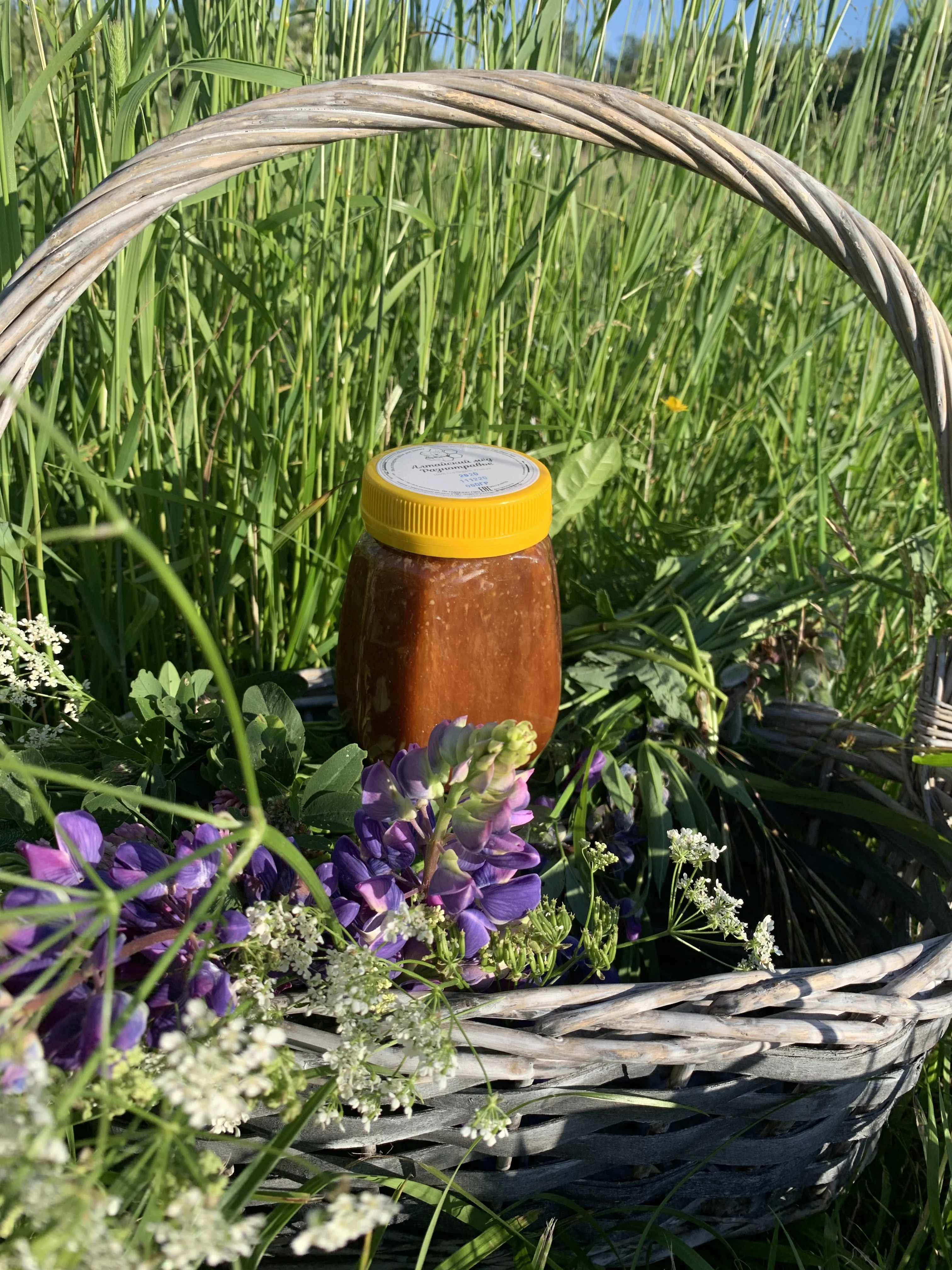 Honey grass floral Altai natural 550 GR buy tea honey Altai slash glass sweets yummy spices for confectors