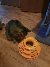 Three-Levels Tower-Tracks-Disc Ball Cat-Toys Interactive-Training-Amusement-Plate Cat-Intelligence