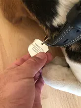 Etiqueta de identificación personalizada para mascotas, colgante con grabado de acero inoxidable, etiquetas de nombres, Collar, personalización gratuita, placa con nombre para perro y gato