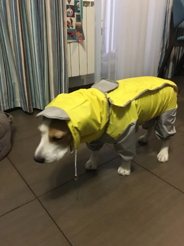 Dog Raincoat Best Dog Raincoat Dog Raincoat with Legs