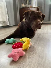 Toy Plush-Toy Pet-Supplies Cloud-Shaped Funny Cartoon Star for Dogs