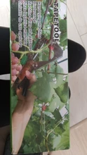 Drtools-máquina de atado de plantas de liguero, máquina de atado manual de ramas de plantas, encuadernación de mano, cinta de taponado de vegetales picados, herramientas de jardín