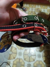 Confortables de alta calidad Collar ajustable para mascota perros de talla grande 4 colores sólido Popular 1PC correa de Nylon de venta Popular para mascotas Collar de perro