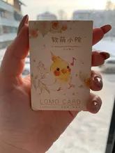 Tarjeta lomo de papel de animal feliz, 52mm x 80mm, 1 paquete = 28 piezas