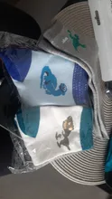 Calcetines de algodón con dibujo de dinosaurio para niños, para primavera y otoño, de 2 a 12 años, 5 pares