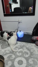 2.5L fuente del gato automático, cuenco para beber agua, dispensador de agua para perros y gatos, fuente de bebida automática silenciosa, USB eléctrico