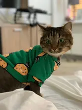 Cute Print Small Dog Hoodie Coat Winter Warm Pet Clothes for Chihuahua Shih Tzu Sweatshirt