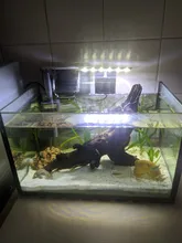 Lighting Aquarium-Lamp Fish-Tank-Light LED High-Brightness Super-Slim Ultra-Thin