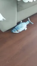 30CM Cat Toy Fish USB Electric Charging Simulation Dancing Jumping Moving Floppy Fish