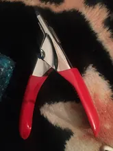 Stainless Steel Dog Pet Grooming Nail Trimmer Scissors Claw Nail Clippers for Dog Cat