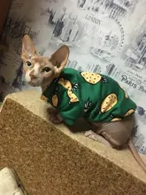 Rabbit Print Pet Cat Costume for Cats Soft Kedi Katten Sweatshirt Hoodie Spring Summer