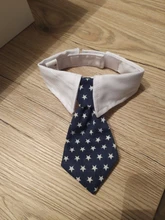 [MPK Store] Cat Toy Cat Costume Clip Tie for Cats and Dogs, Cat Collar