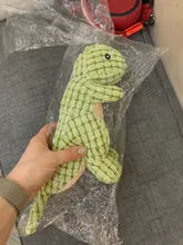 Bite-resistant Pet Dog Chew Dinosaur Toys for Dogs Squeaky Small Big Dog Toy Cleaning