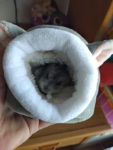 Jaula para mascotas, accesorios para hámster, cama para mascotas, cama de ratón, casa de algodón, nido de Animal PEQUEÑO, invierno cálido para roedores, conejillo de indias, rata, erizo nuevo