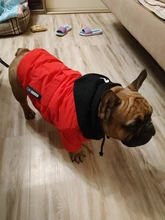 Jacket French Bulldog Dog Winter SUPREPET Coat Pet-Dog Dogs Large Cotton for Warm Perro