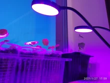 Grow-Light Lamps Timer Flowers Desktop-Clip LED Phyto Full-Spectrum For Plants DC5V USB