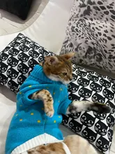 Cute Cat Sweater Costume Winter Warm Pet Clothes Cat Clothing for Cats Katten Kedi Giyim