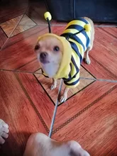 Overalls Sweaters Jacket Pet-Costume Yorkies Dogs Coat Small 