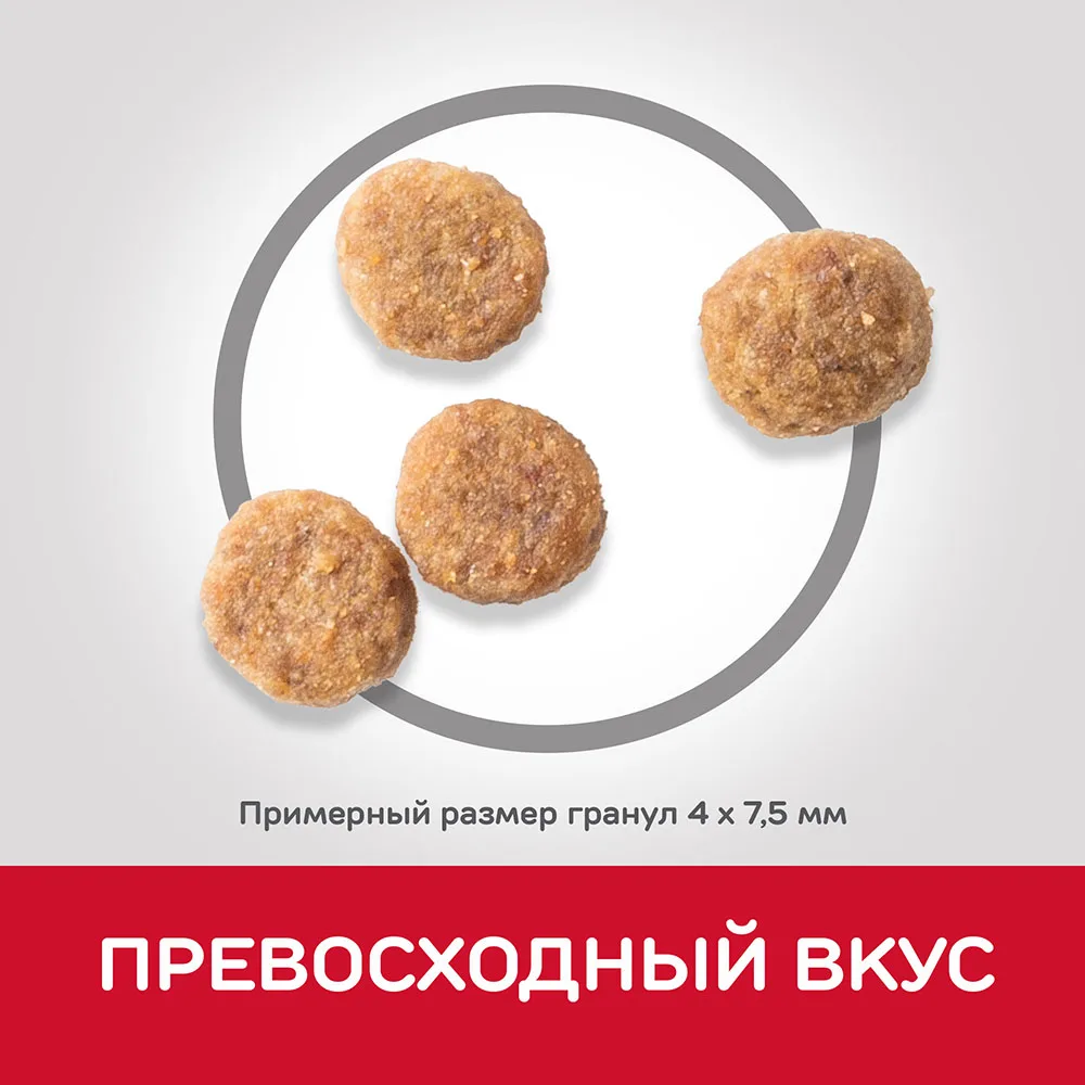 Hill's Science Plan Sensitive Stomach& Skin сухой корм для собак мелких и миниатюрных пород с курицей 3 кг