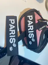 Sticker Harness Patch Label Name-Tag Custom K9 Personalized Pet-Dog 2pcs