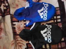 Adidog-ropa para perros pequeños, chaqueta con capucha deportiva de invierno, suéter de algodón suave abrigado puro, Chihuahua de peluche, ropa para cachorros