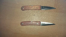 Huertos profesionales para plantar plantas, 1 Uds., cuchillo para podar, herramientas de jardinería para cortar, envío rápido, no plegable