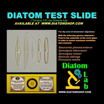 

Diatom Test Slide version 2.0: Microscope slide with Test Diatoms for microscopes: online instructions! Microscope resolution