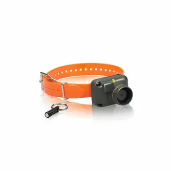 

Dogtra StB -Beep H Beeper sharp sound