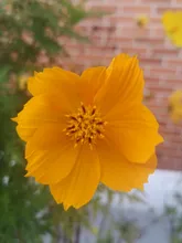 Hex Insert-Lock-Nut Nylon Black M4 304-Stainless-Steel M2.5 M12 M10 M5 M16 M3 A2 M8 2/5/10/25pcs