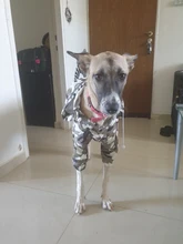 Jumpsuit Jacket Pet-Cloak Rain-Coat Labrador HOOPET Golden Retriever Waterproof Dogs