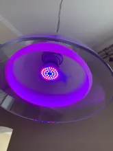 Phyto-Lamp Plant Light Grow-Bulb GU10 Canling Indoor Hydroponics Full-Spectrum 220V E27