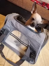 Dog-Carrier-Bags Airline Pet-Cat-Dog-Backpack Portable Cats Small Dog for Approved