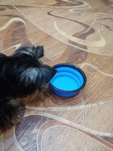 Puppy-Feeder Dog-Bowl Silicone Travel Dog Collapsible Hiking Portable Pawstrip 6-Colors