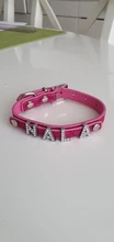 Pet-Dog-Collars Puppy-Cat-Necklace Free-Rhinestone-Letters Dogs Cat Name Small Personalized