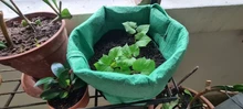 Seedling-Pot Planting-Bag Jardin Vegetable Greenhouse Garden-Grow-Bag Vertical Home Moisturizing