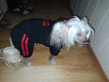 Jumpsuit Clothing Hoodies Jacket Pet-Dog-Coats Small Dogs Sport Apparel Winter Fashion